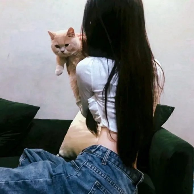 失踪女孩